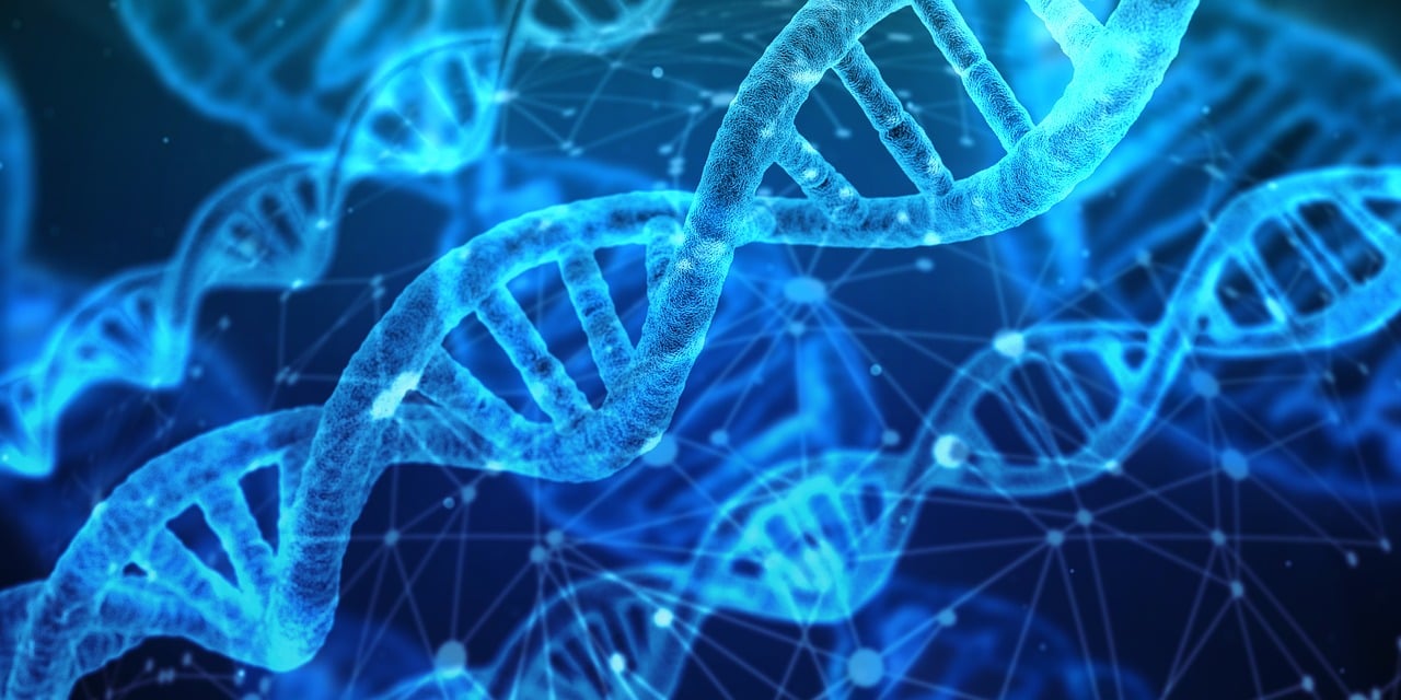 La patente de una tecnología de encapsulación de ADN mejorará el almacenamiento de datos y el tratamiento de enfermedades complejas (Foto: Pixabay)